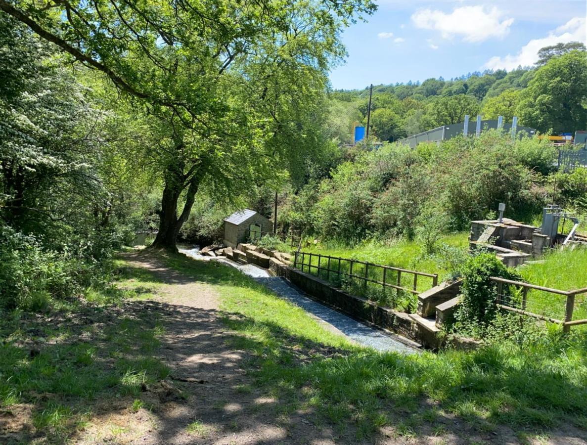 Old Co Op House -Forest Of Dean Bream Eksteriør billede
